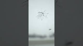 Snowflake