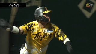 【ハイライト】8/3(日) 神8-8オ(SGL)| 終盤に8点差を追いつく!前川が2号満塁弾!福島は同点打含む3打点!ハートウィグは3者連続三振で鮮烈なデビューを飾る!