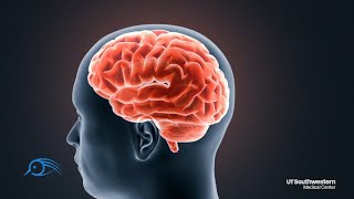 Unlocking the Secrets of Human Memory: Molecules, Genes, and Perception