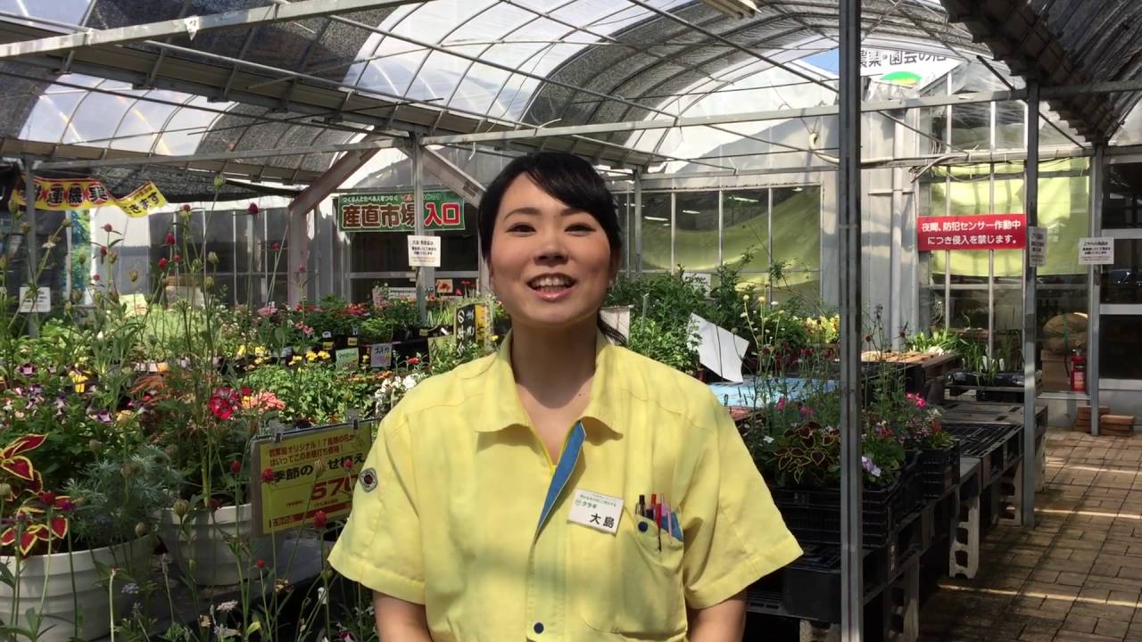三重県松阪市 家庭菜園 畑で使える ナメクジ 駆除 Youtube