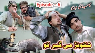 Shkoonr Me Geer Ko [Ep 6] Pashto Funny Vindeo By Sheena Vines