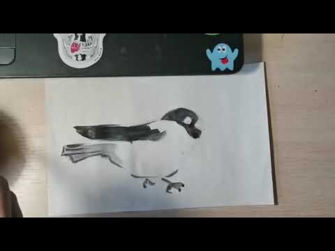 Video: Kako Nacrtati Bullfinch