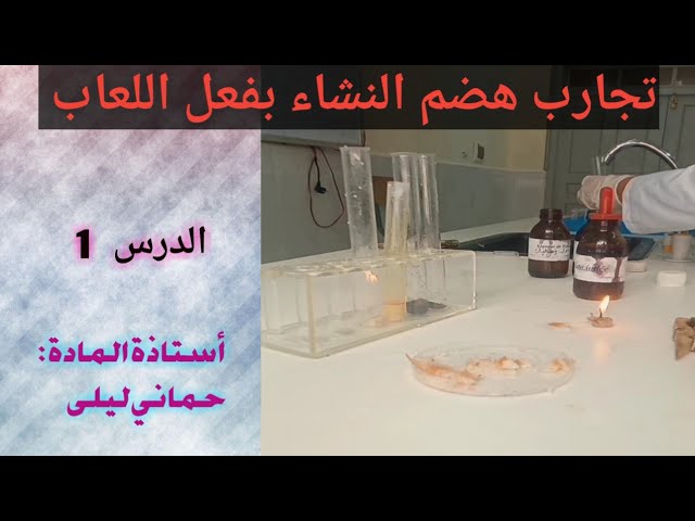 التغذية 1: هضم النشاء تجريبيا  (الهضم الكيميائي للنشاء على مستوى الفم)