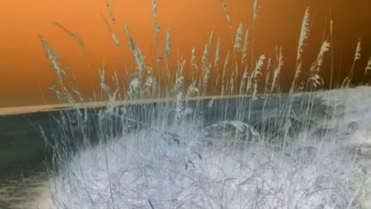 Fox Grin - Ocean Nocturne [Official Music Video]