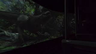 King Kong 360 3D 2025 Universal Studios Hollywood
