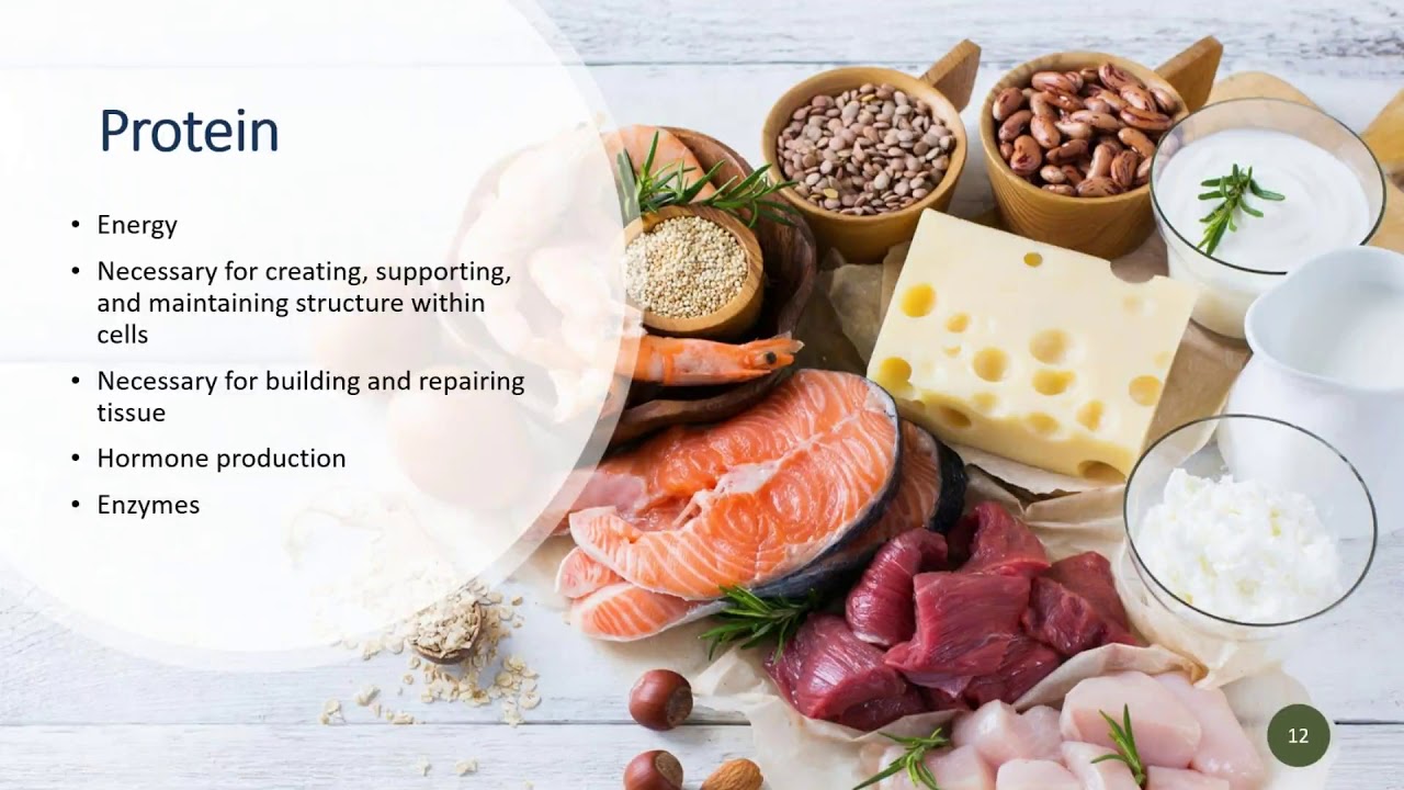 Calculating PDCAAS for DV Protein Genesis R&D YouTube