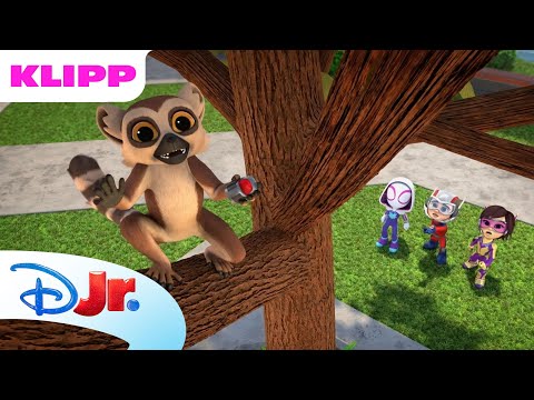Den lure lemuren | Spidey og hans fantastiske venner | Disney Junior Norge