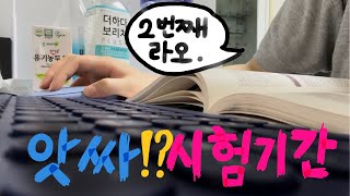 아싸 대학생 시험기간 브이로그2