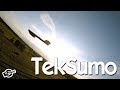 End of summer teksumo WING chasing