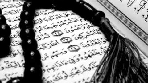 الشيخ عامر الكاظمي سورة الملك