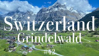 🇨🇭Switzerland② Grindelwald #42  スイス/グリンデルワルト　ヨーロッパ最高地点のユングフラウヨッホに行く🏔️🚇、スフィンクス展望台🌟