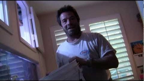 LA Fishguys, Coral Reef Aquarium, Episode 96 pt 1, Big Tank, Big Corals, Big Fish.