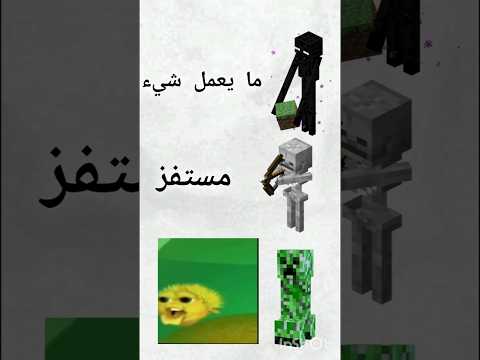 يا قراد القرود