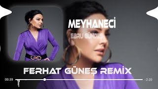 Ebru Gündeş - Meyhaneci ( Ferhat Güneş Remix )