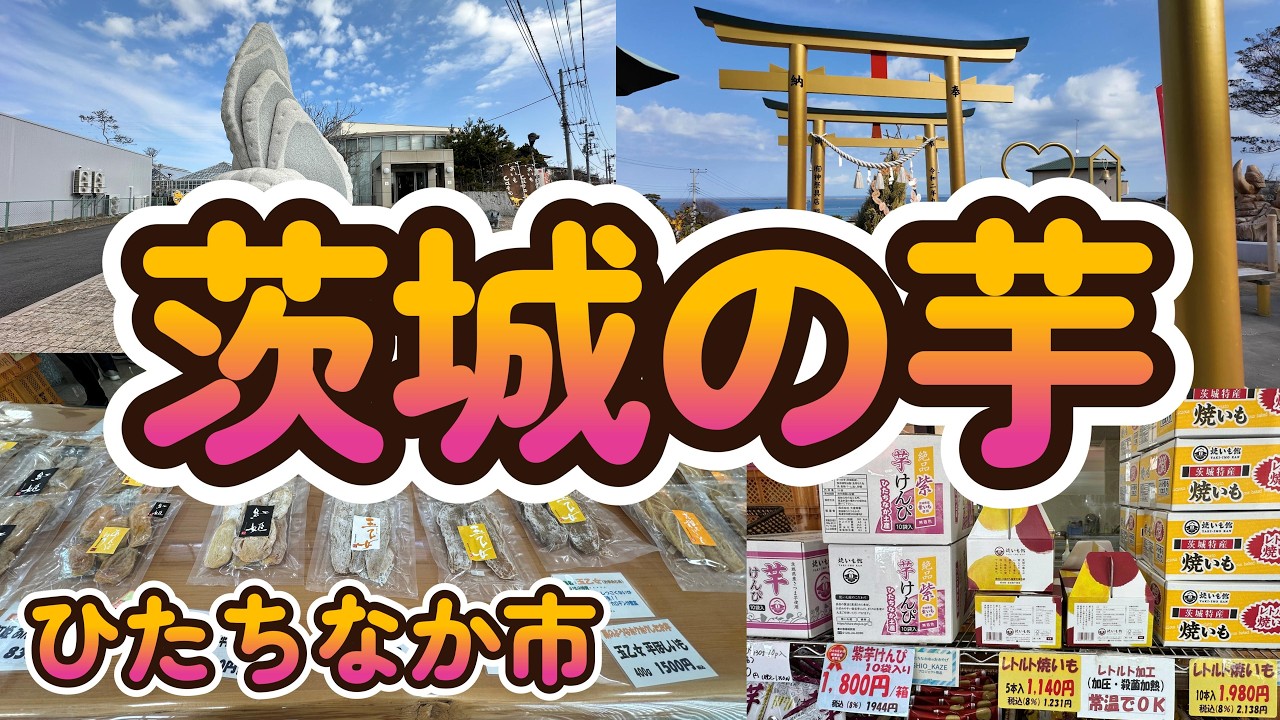 【Vlog】【芋好き必見！】干し芋、焼き芋を買うならここ！４選「茨城の芋」茨城県ひたちなか市 4K