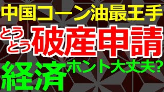 04-12 再度UP 中国のコーンオイル最王手破産が申請食らう