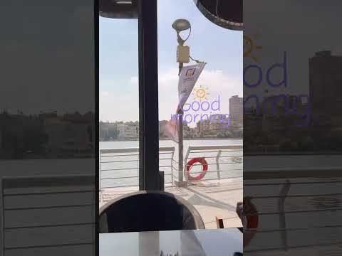 قلبي في هواك هايم