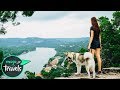 Top 10 Places to Travel with Your Dog in North America