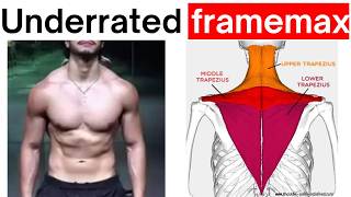 Most underrated muscle to framemax (vertical shrugs unvaulted)