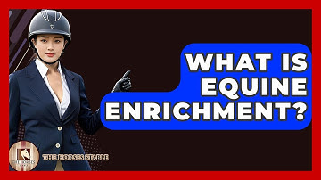 What Is Equine Enrichment? - The Horses Stable