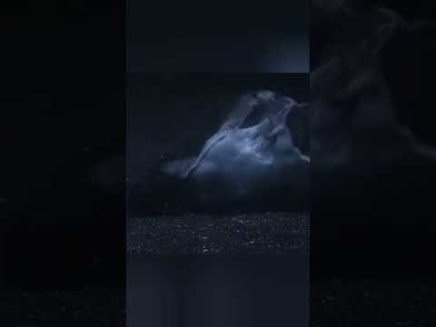 если их кто то проглотит то быстро пожалеет #природа #beyondfacts #beyond