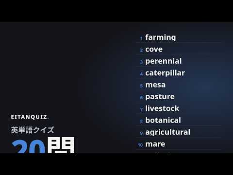 reef の英単語解説動画