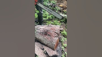 Chainsaw Firewood Prep – Cutting Logs the Right Way!