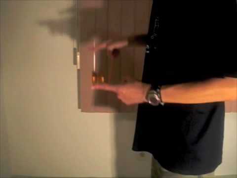 Multifarious Whip Tutorial