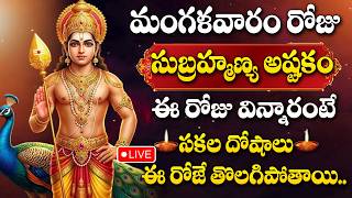 LIVE : TUESDAY SPECIAL - LORD SUBRAMANYA SWAMY DEVOTIONAL SONGS TELUGU | BHAKTI SONGS