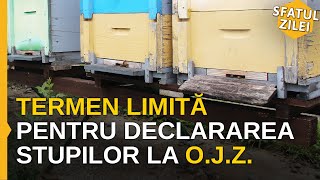 Termen Limita Pentru Declararea Stupilor La Ojz