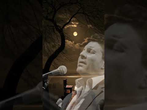 هاني شاكر انت السبب