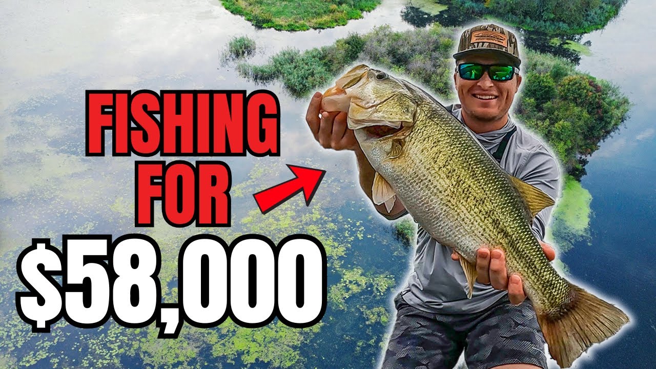 Рыбалка ради победы на ЛЕГЕНДАРНОМ озере Гантерсвилл (ТУР BIG BASS)