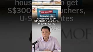Singaporean households to get S$300 CDC vouchers, U-Save rebates Singaporean households to get S$300 CDC vouchers, U-Save rebates