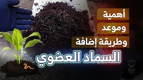فوائد وموعد وطريقة وضع السماد العضوي للأشجار