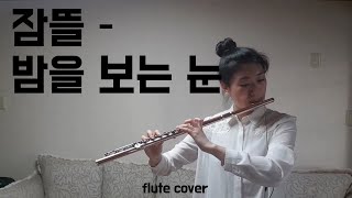 잠뜰 Sleepground - 밤을 보는 눈 Flute Cover 참플