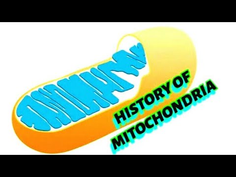history, old names ,work of different scientists on mitochondria