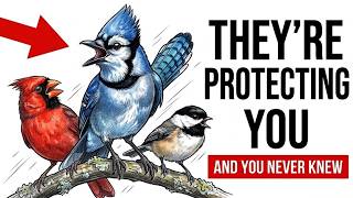 BIRDS In Your Yard PROTECT You Their WHOLE LIFE Without You Knowing! (Documented Science)