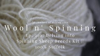 WnS Ep. 210: Delving into Spinning Sheep Breeds Kit || 100% Suffolk