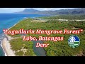 Wow! Lagadlarin Mangrove Forest Lobo, Batangas | Denr