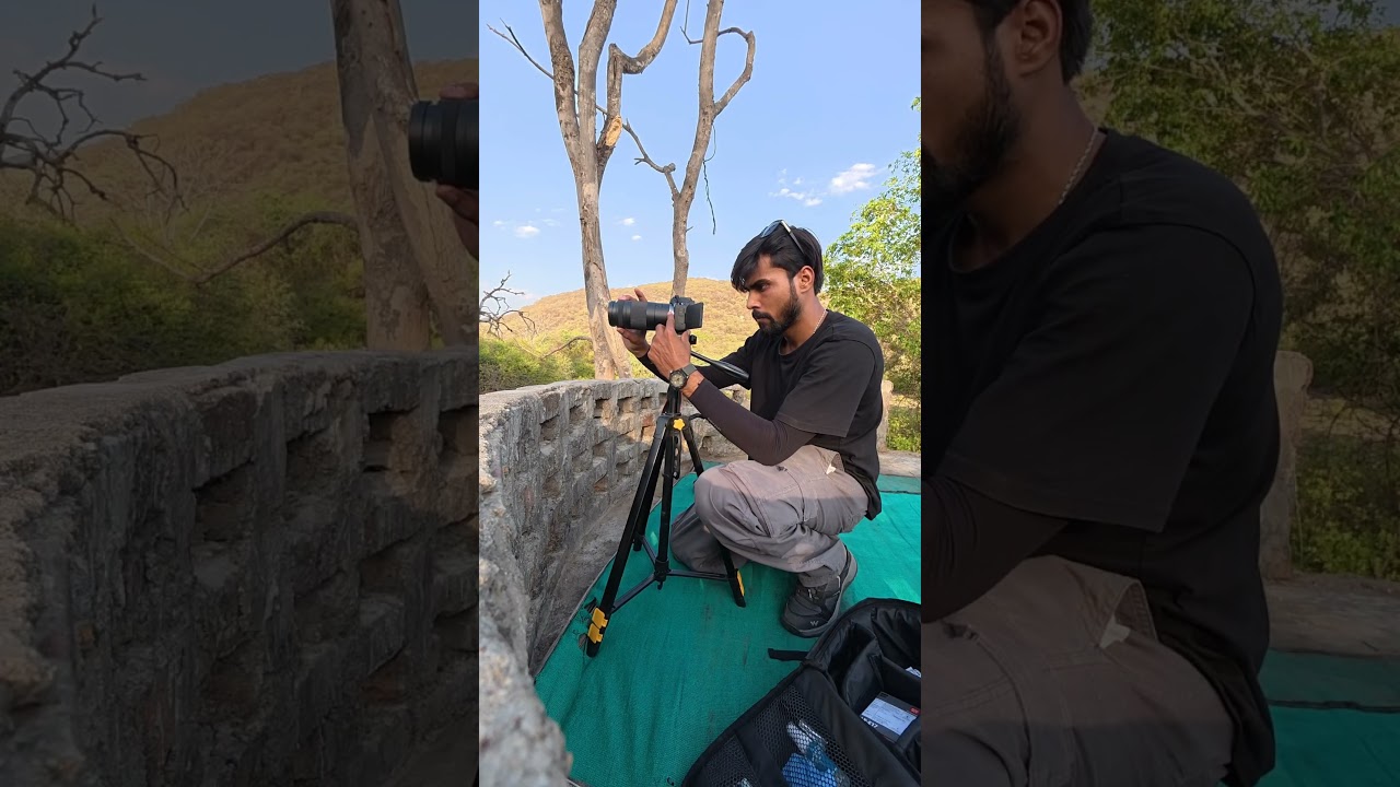 24 hours in forest #wildlife #youtubeshorts #leopard