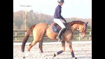 Warming up before jumping - Ben Clark