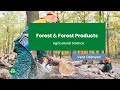 Forests &amp; Forest Products / Vegetation | Types, Uses &amp; Importance🌳