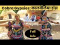 Cobra Gypsies | Kalbeliya Dance of RAJASTHAN | full info