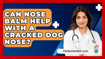 Can Nose Balm Help With A Cracked Dog Nose? - PetGuide360.com