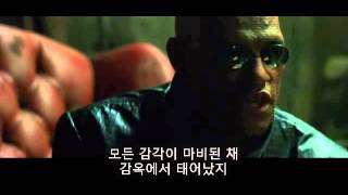 매트릭스1 빨간약 (1999) (4분0초)