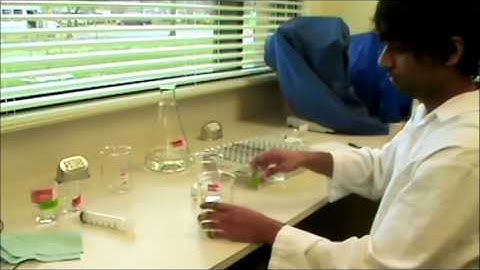 Mungbean Plant Bio Assay Instructional Video