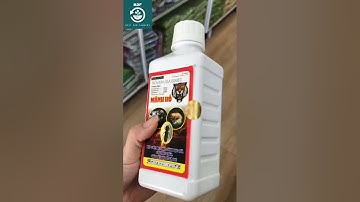 ROVERUSA 600EC – HIỆU MÃNH HỔ TRỊ RỆP SÁP, MỌT ĐỤC CÀNH, SÂU ĐỤC THÂN. HOTLINE: 0776 400 038