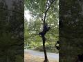 木に登って何かしている人がいた！！