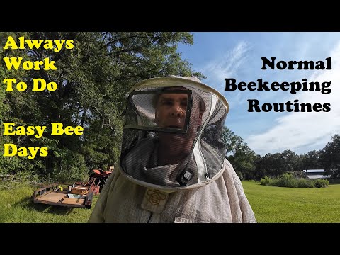 Beekeeping | Always Something to Do | Tending the Bees