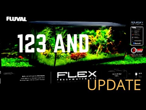 FLUVAL FLEX 123 2020 (3 MONTH UPDATE)